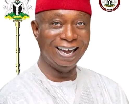 SENATOR NED NWOKO STRONG POLITICAL IMPETUS
