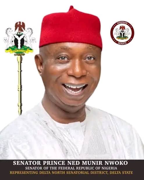 SENATOR NED NWOKO STRONG POLITICAL IMPETUS